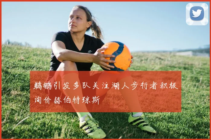 鹈鹕引发多队关注湖人步行者积极询价赫伯特琼斯