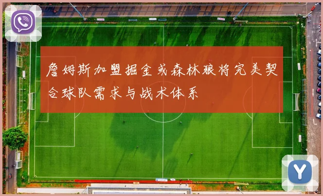 詹姆斯加盟掘金或森林狼将完美契合球队需求与战术体系